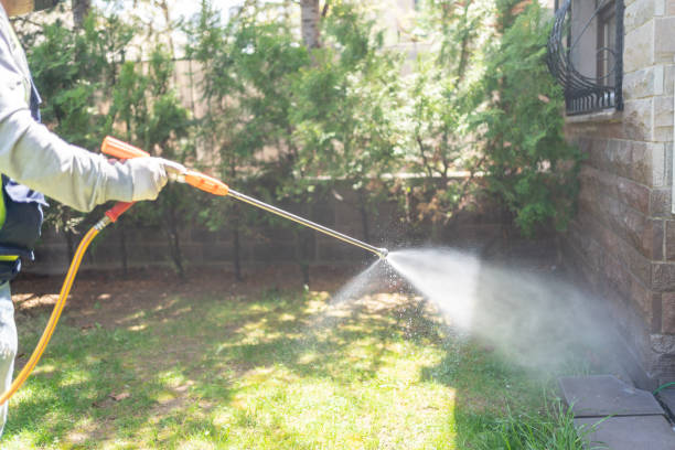 Insect Control in Rutherford College, NC